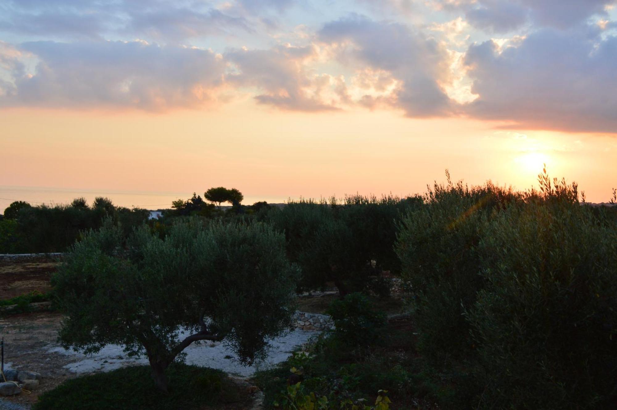 Villa Bella Vista Vip By Salento Prime Marina Di Pescoluse Zewnętrze zdjęcie