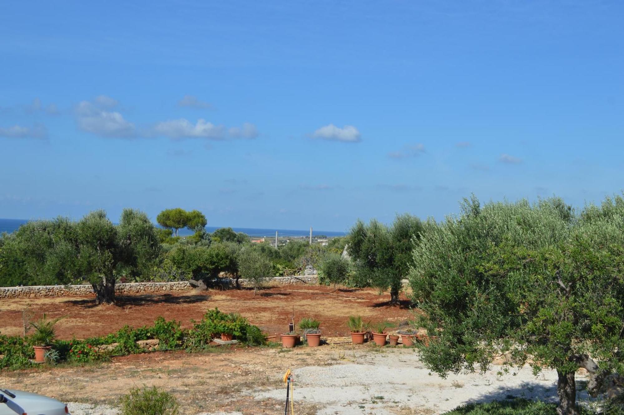 Villa Bella Vista Vip By Salento Prime Marina Di Pescoluse Zewnętrze zdjęcie